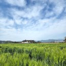 해돋이펜션 | 여행 16일째 동해안 7번 국도 여행 경주 분황사 청보리밭 포항 환호공원 스페이스워크 죽변 해안 스카이...