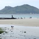 느랏느랏 이미지