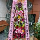 부산아름다운학교운동본부 이미지