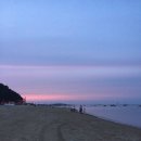 수서울내과의원 | 대장 용종. 내시경으로 안전하게 정확하게 치료 - 금광동 단대오거리 검진내과 수서울내과의원