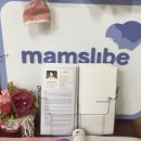 성북-돈암-2042 이미지