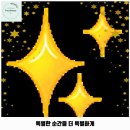 댕구르르 유치원 | 양덕1동 애견카페 댕구르르 애견유치원 &amp; 호텔 &amp; 미용 &amp; 카페 가격 및 후기 추천 리뷰 주차 예약...