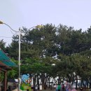 상주은모래비치 입구 이미지