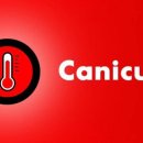 Canicule : comment faire face à une vague de chaleur ? 이미지