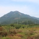 곡성농협 삼기주유소 이미지