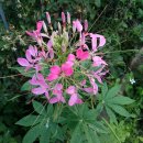 먼당농장 이미지