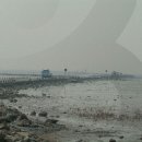 화성민박