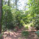 지곡유원지 이미지