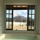 스테이 띠앗 이미지