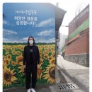대신양말골목 네이버블로그