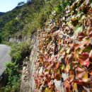 가야2리 이미지