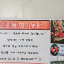 순성농장 네이버블로그