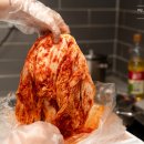 프리미엄마트 | 냉장고 열 때마다 꺼내 먹게 된 국산김치 │ 소년마트 0.8 프리미엄 배추김치 내 돈 내산 후기