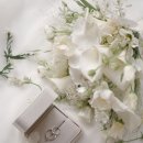 10-A | [W.10] 소피소 스튜디오 촬영 후기 | A 타입, 위해구 작가님 지정, 시안 공유