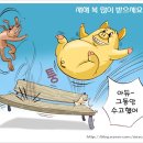 마니 이미지