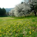 수도권 산악회를 위한 월별 추천 산행지 이미지