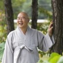 목련장 이미지