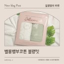 출산 준비물 추천! 벨몽 뱀부코튼 사계절 아기 블랭킷 사용 후기
