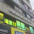 피노라 네이버블로그