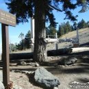 26년 8/8(토) Blue Ridge Camp 이미지