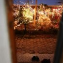 순창전통시장 터미널 이미지