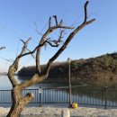 미소진호수펜션풀빌라 이미지