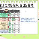 소수