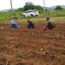 대지농산 이미지