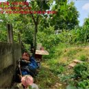 신영4리마을회관 이미지