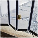 느린오후 이미지