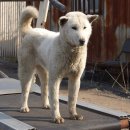 진축산 이미지