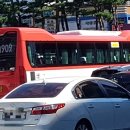 수원-1233 이미지