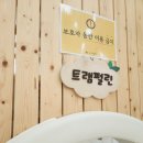 갈천초등학교 | (울산) 언양 큰나무놀이터