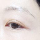 리아아이브로우 이미지