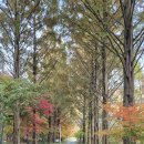 천황사 대웅전 석가여래삼존불상 및 대좌·수미단 | 구봉산 : 천왕봉~상양명 주차장 2025.11.14 금요일