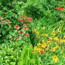 자연아 놀자 이미지