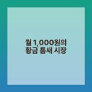 뜻밖의 발견 이미지