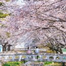 (주)스퀘어팜 이미지