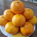 녹산농장 이미지