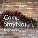 스테이 732 이미지