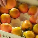 장사농장 이미지