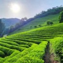 보성행정사사무소 이미지