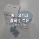 준바이오 | [포맨] 지친 남편의 활력을 위해 직접 챙겨준 바이오피크 호로파캡슐후기!