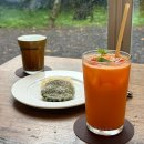 세화757 | [제주 카페 추천] 나와산 – 조천 카페 추천 제주 감성과 건강을 담은 힐링 카페 내돈내산 후기
