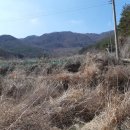 비지1리 이미지