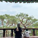 용왕산 스카이워크,산스장, 숲속 카페 뚜벅이 코스 ⛰️산스장 위치 꼭 알고 가세요!!