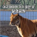 달성공원관리사무소 | 대구 아이들과 가볼 만한 곳 달성공원 동물원 나들이 후기