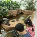 명지 | 부산 명지 키즈카페 추천 아쿠아플레이하우스 명지점 방문 후기 내돈내산