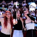 러브에이드 이미지