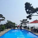 보령애견동반펜션 피노비스타 | #피노비스타애견펜션 #보령애견동반펜션 #대천애견동반펜션 #대천가볼만한곳 #보령가볼만한곳